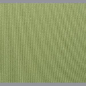 Additional Image 2 - a green wall with a white border