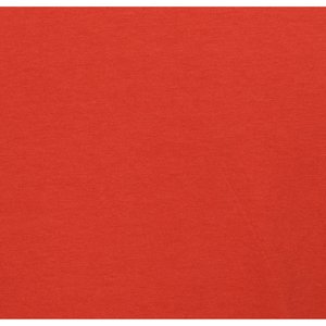 Additional Image 2 - a red surface with white text