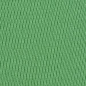 Additional Image 2 - a green wall with a white stripe