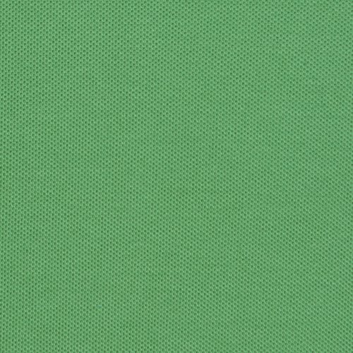 Additional Image 2 - a green wall with a white stripe