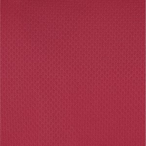 Additional Image 2 - a red wall with a white border