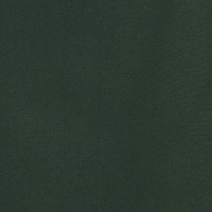 Additional Image 3 - a green wall with a black stripe