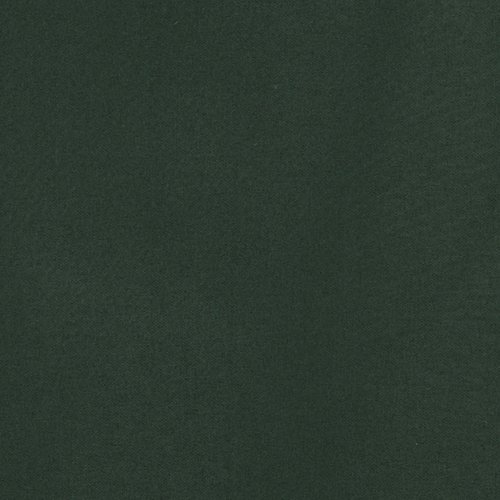 Additional Image 3 - a green wall with a black stripe