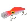 a fishing lure with hooks