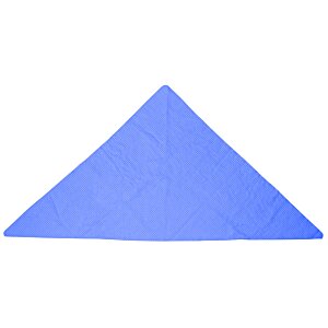 Additional Image 1 - a blue triangle on a white background