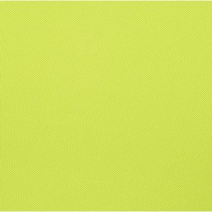 Additional Image 2 - a green screen with a yellow background