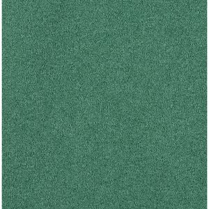 Additional Image 2 - a green wall with a white border