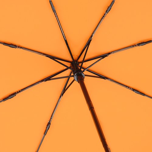 Additional Image 1 - a spider on an orange background