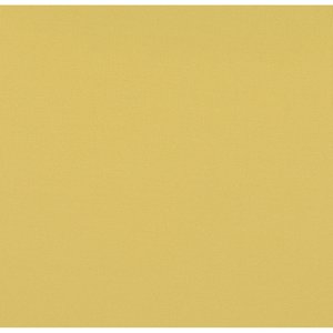 Additional Image 2 - a yellow background with a white border