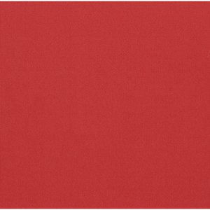 Additional Image 2 - a red surface with white text