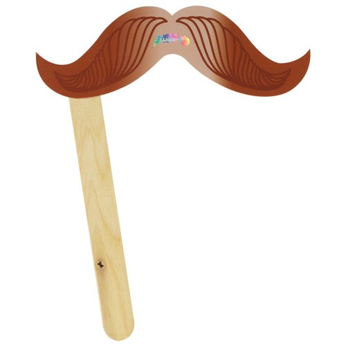 Additional Image 2 - a fake mustache on a stick