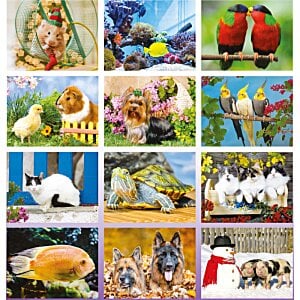 Additional Image 1 - a collage of a collage of a dog and a bird