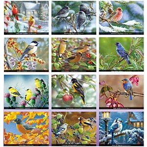 Additional Image 1 - a collage of images of birds