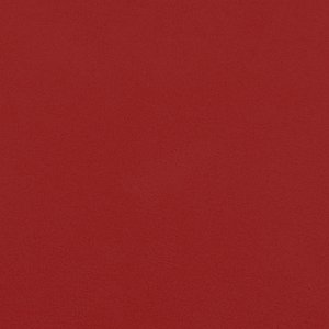 Additional Image 2 - a red surface with a white stripe