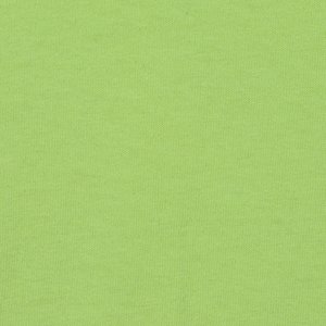 Additional Image 2 - a green wall with a white spot