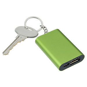 Additional Image 2 - a key chain with a keyring