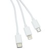 View Image 4 of 5 of Traveler Duo Charging Cable
