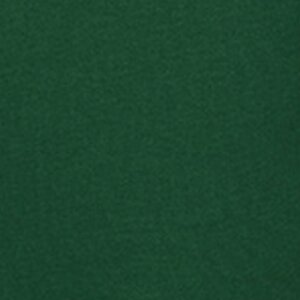 Additional Image 2 - a green surface with a white stripe