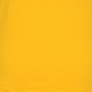 Additional Image 2 - a yellow object with a black mark