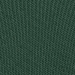 Additional Image 2 - a green surface with a white stripe