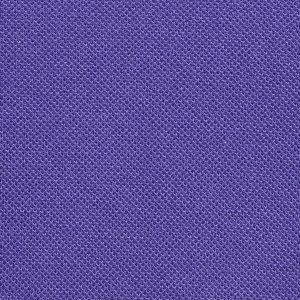 Additional Image 2 - a purple surface with white text