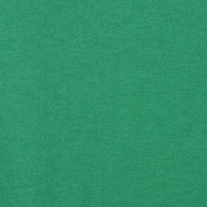 Additional Image 2 - a green wall with a white stripe