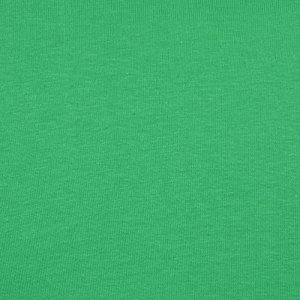 Additional Image 1 - a green surface with a white spot