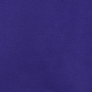 Additional Image 2 - a blue fabric with white dots