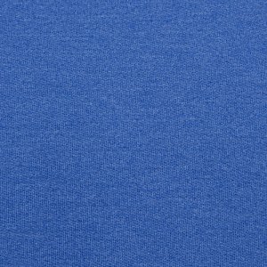 Additional Image 2 - a blue surface with white text