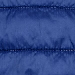 Additional Image 2 - a blue down jacket with a stitching