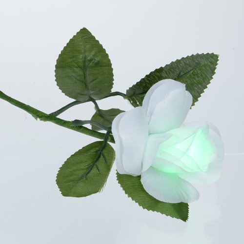 Light-Up Rose - Multicolour Image 3 of 7