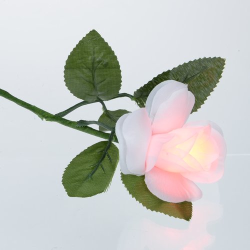 Light-Up Rose - Multicolour Image 4 of 7