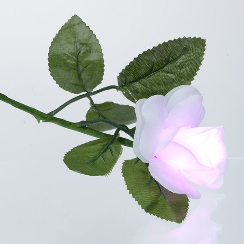 Light-Up Rose - Multicolour Image 5 of 7