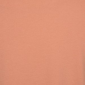 Additional Image 1 - a pink wall with a white stripe