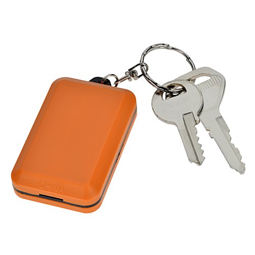 Additional Image 1 - a key chain with a keychain