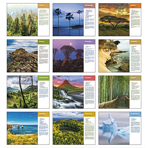 Additional Image 1 - a collage of images