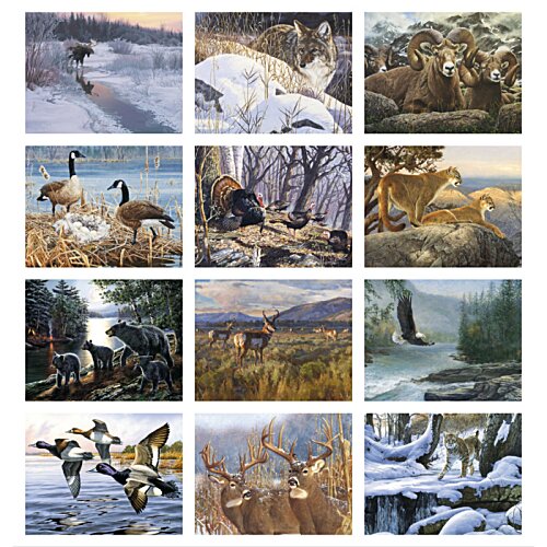Additional Image 1 - a collage of images of animals