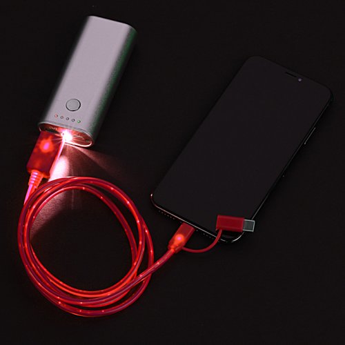 Shine Light-Up Duo Charging Cable Image 2 of 6