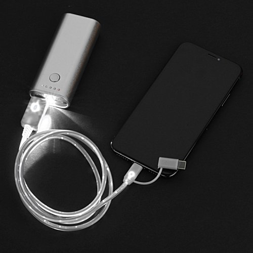Shine Light-Up Duo Charging Cable Image 4 of 6