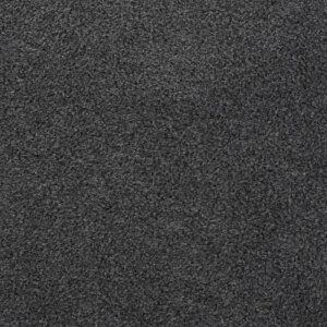 Additional Image 1 - a black surface with white spots