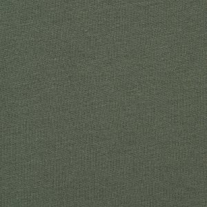 Additional Image 1 - a green wall with a white stripe