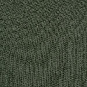 Additional Image 2 - a green wall with a white stripe