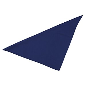 Additional Image 1 - a blue triangle on a white background
