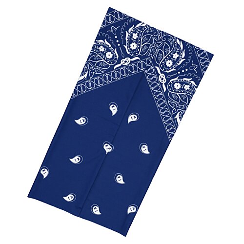 Additional Image 1 - a blue and white rectangular object