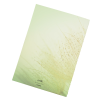 a white rectangle with a light green background