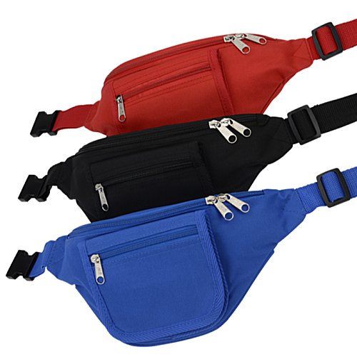 Waist Pack with Organizer Panel Image 2 of 3