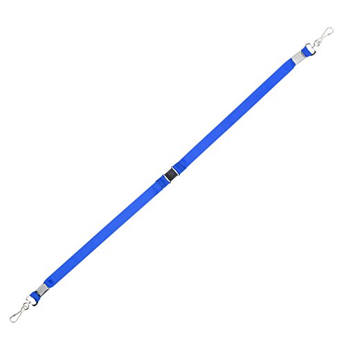 Additional Image 1 - a blue pen with white tips