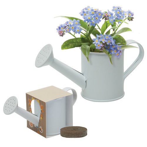 Additional Image 2 - a white watering can and a small watering can