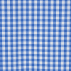 a blue and white checkered tablecloth