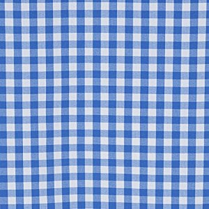 Additional Image 2 - a blue and white checkered tablecloth